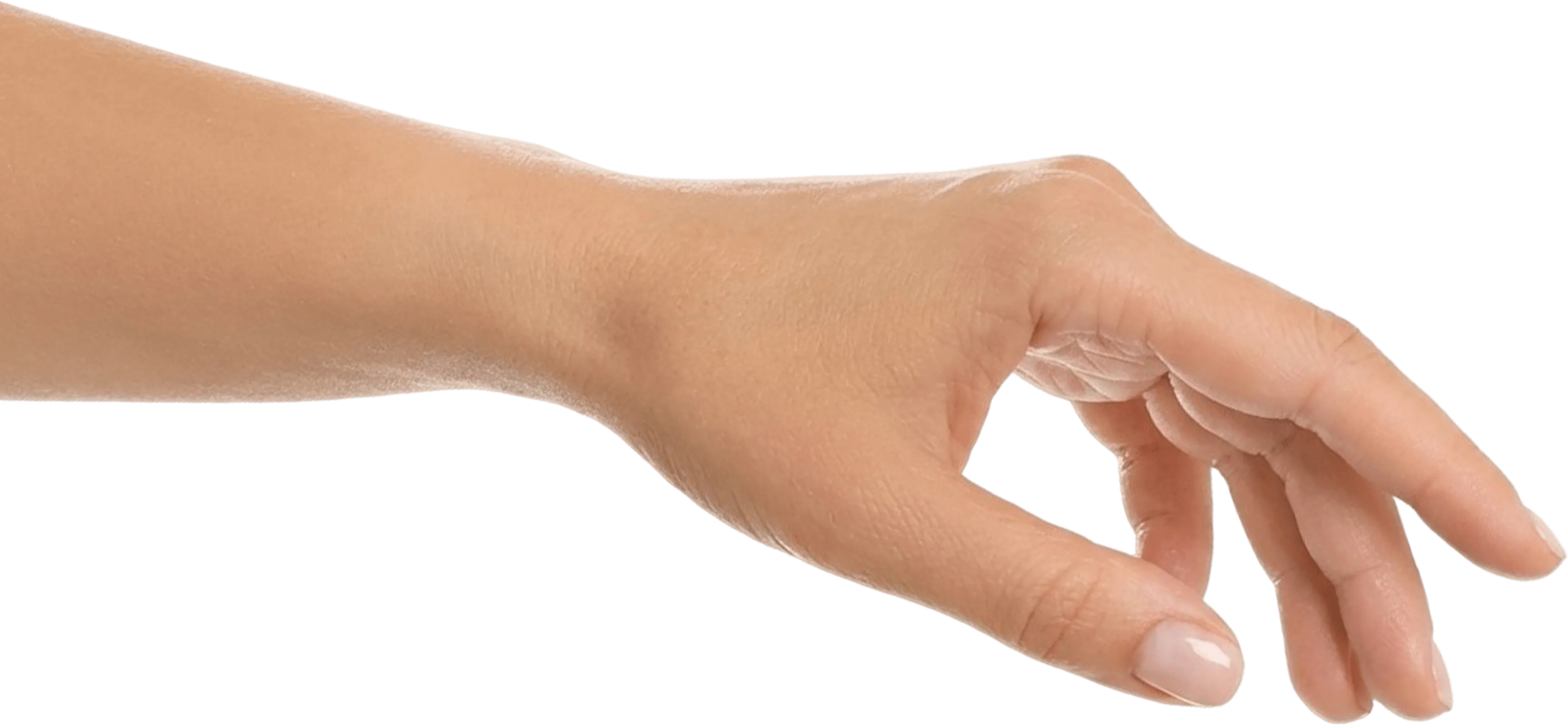 Illustration of a cupped hand