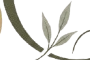 Olive branch motif